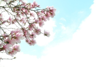 Illustration for article titled Shooting Challenge: Spring Part 1